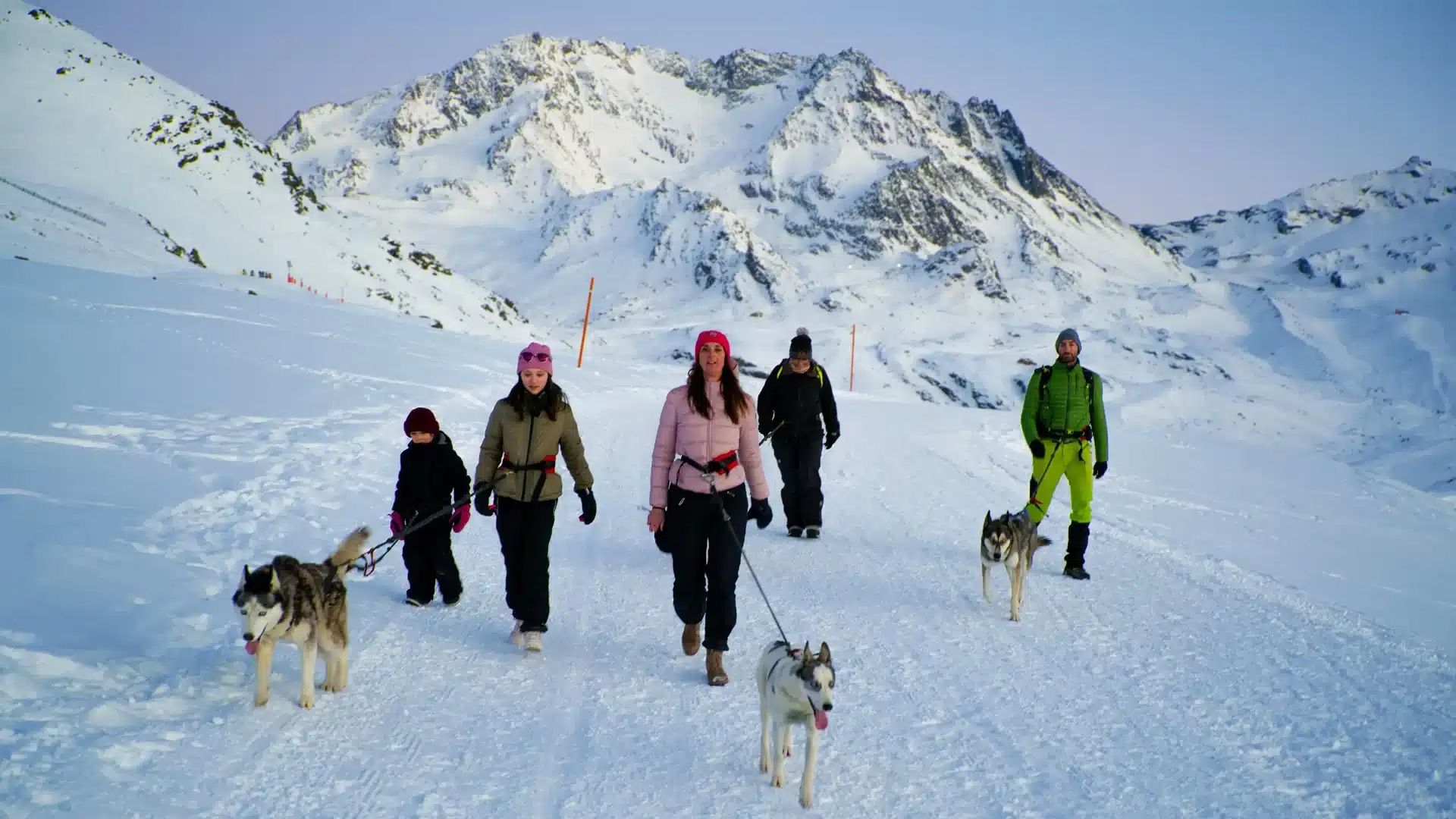 découvrez notre gamme de remontées pour chiens, conçues pour offrir confort et sécurité à votre compagnon lors de vos aventures. idéales pour les promenades et le transport, nos produits allient qualité et praticité.